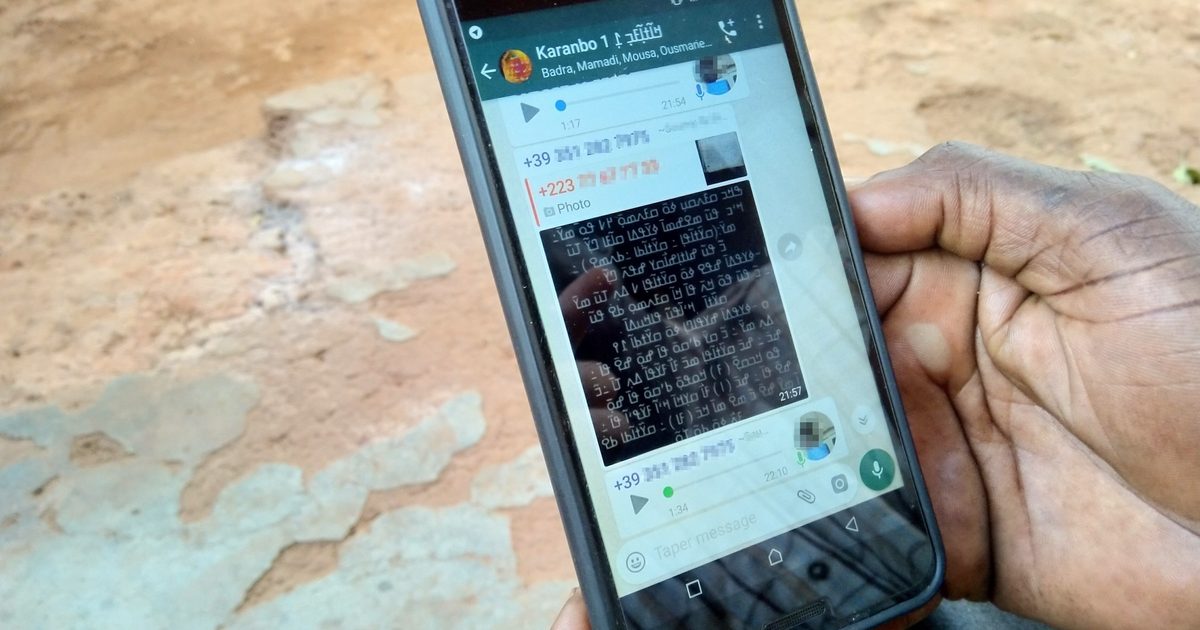 Hand holding a phone with a WhatsApp business chat open